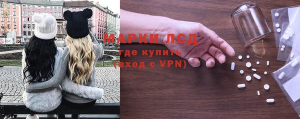 прущие грибы Алексин